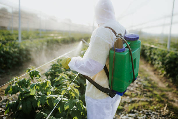  Valley View, PA Pest Control Pros